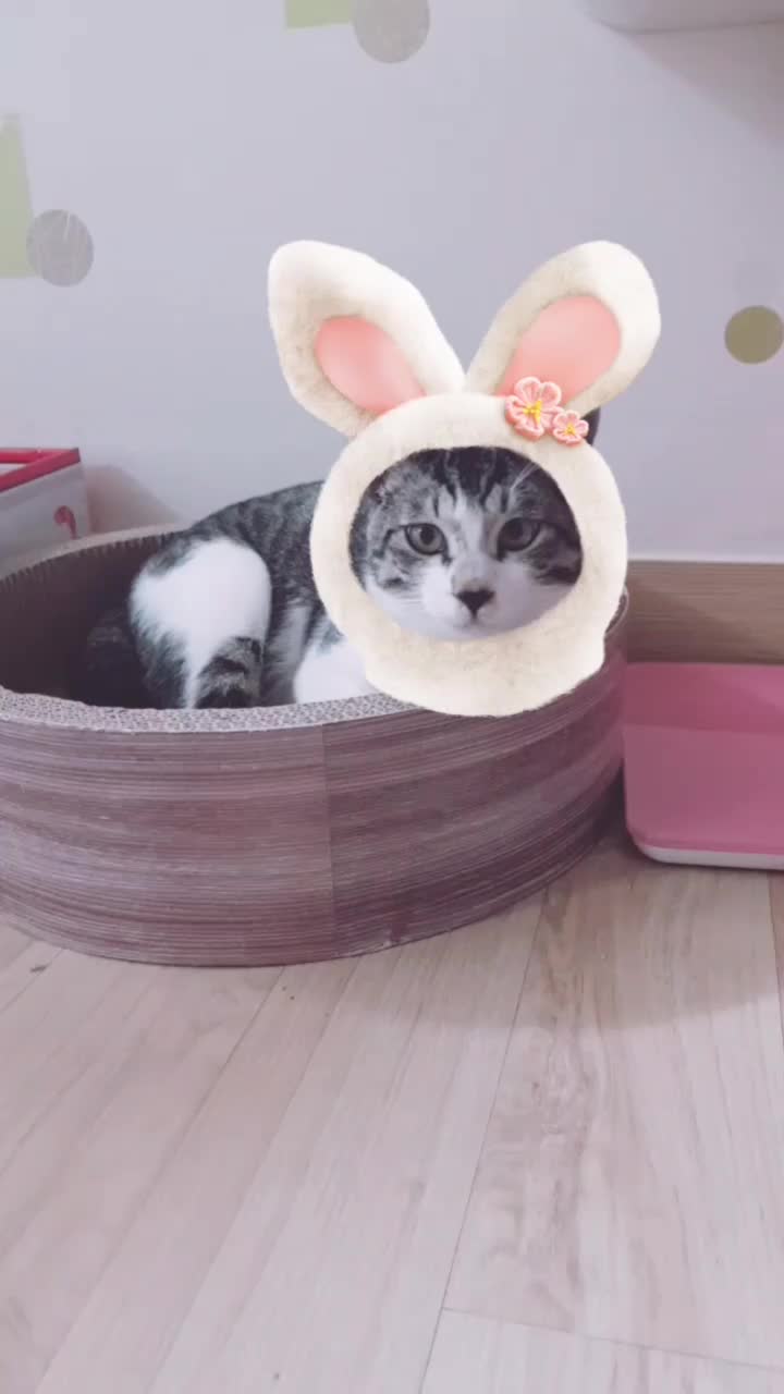 @이형균