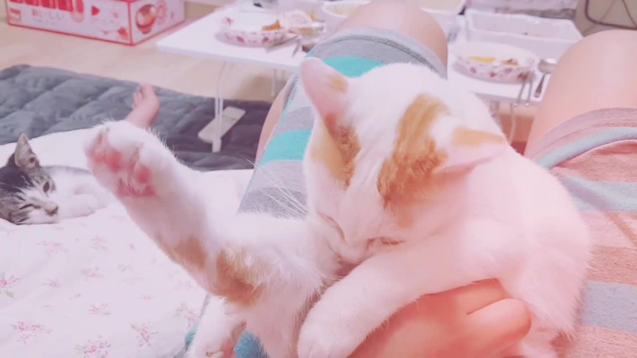 @이형균