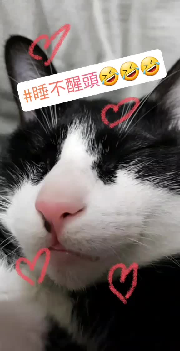 @方巧妃