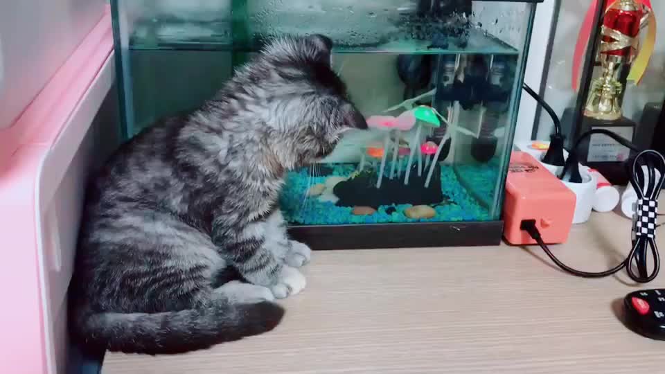 @가미가미