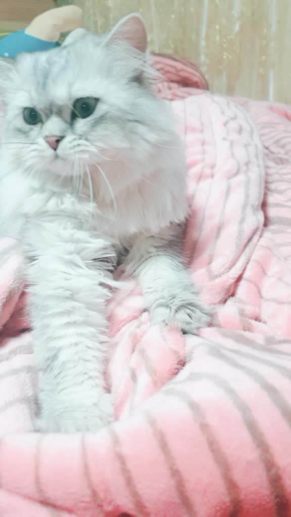 @ㅇㅅㅇ