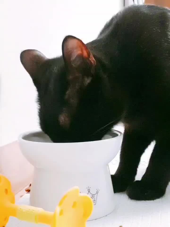 @뽀미와여울이