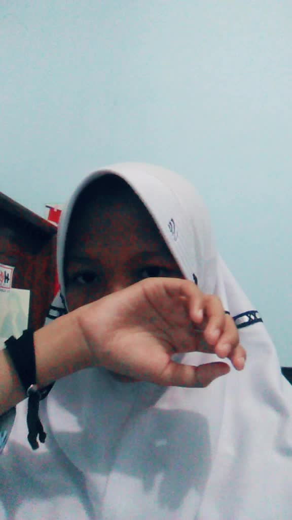 @linjatih