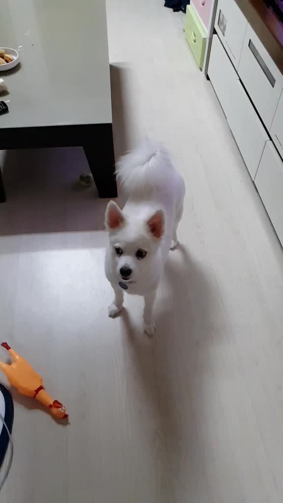 @mongooone
