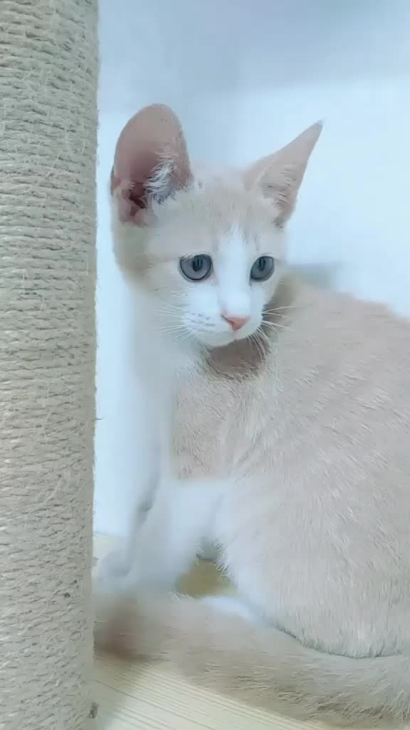 @구월아 사랑햄♡