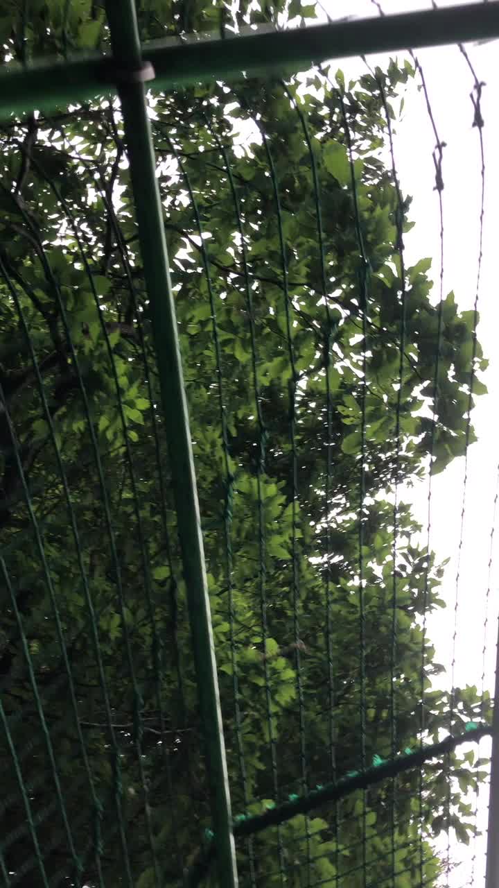 @デンでん