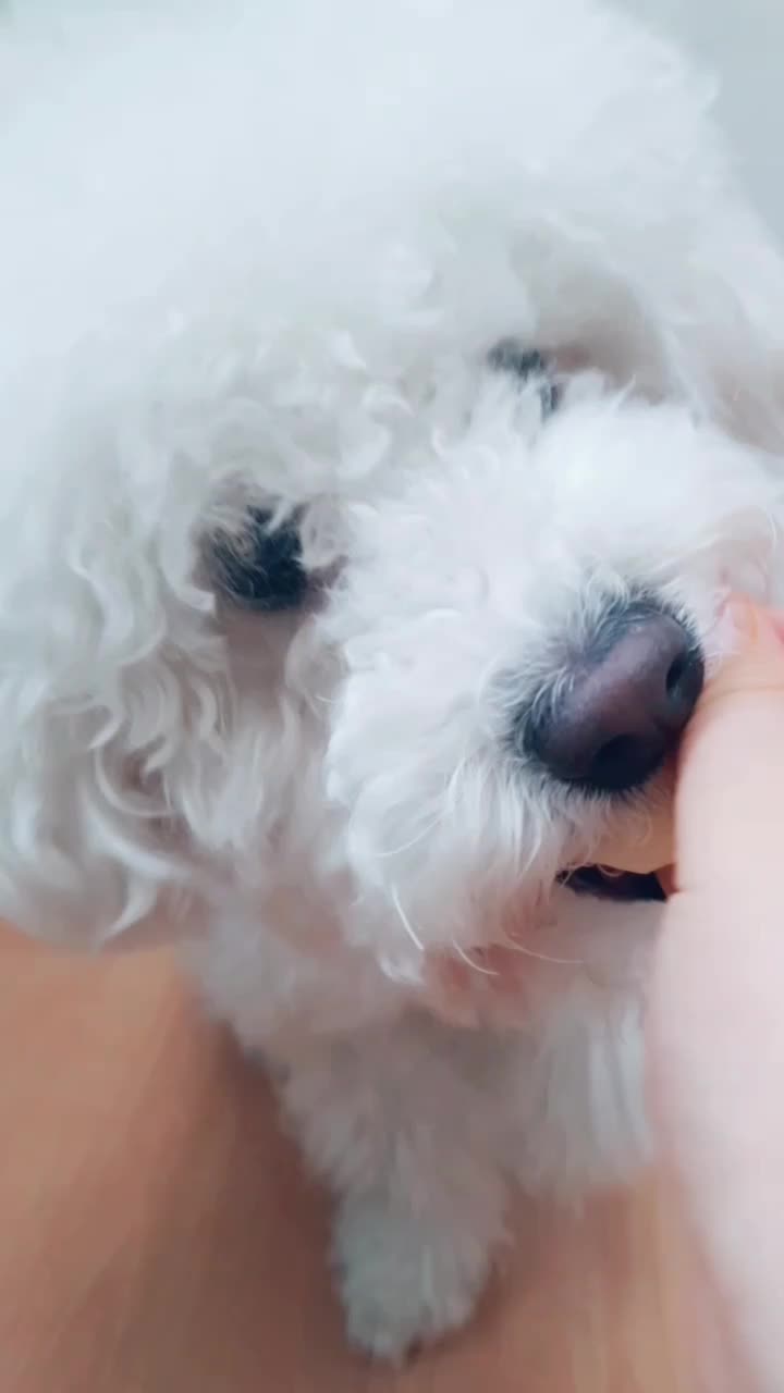 @🌟루피짱🌟