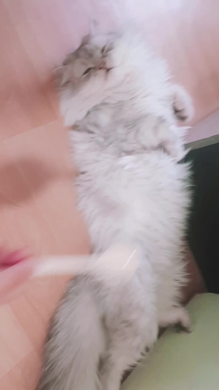 @ㅇㅅㅇ