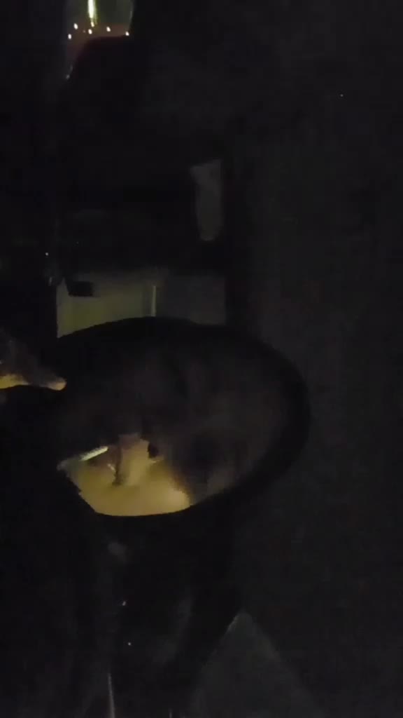 @liyalarhh
