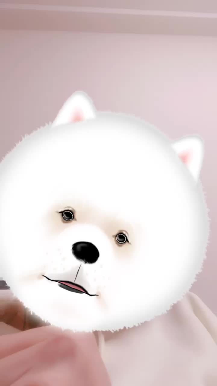 @ねこぜん