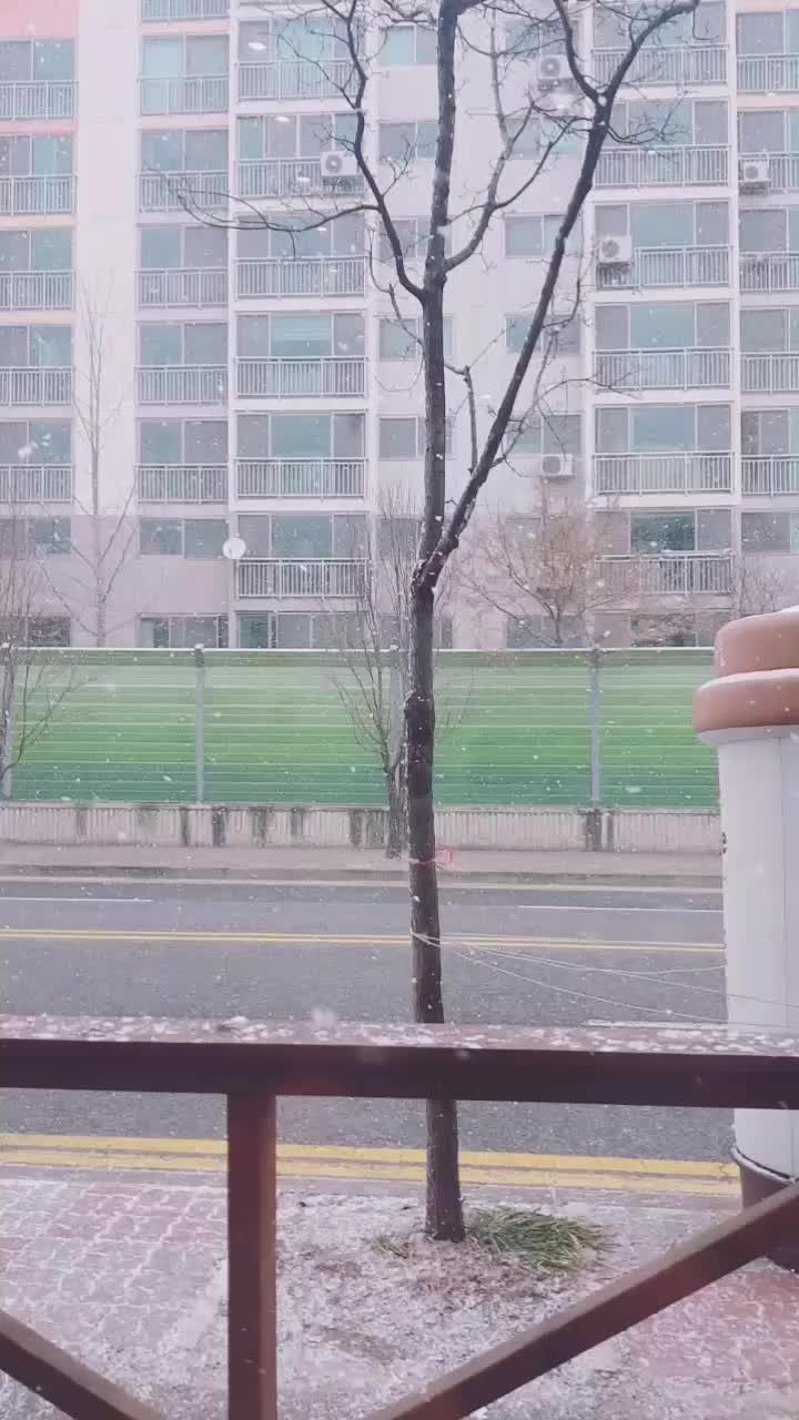 @서연2