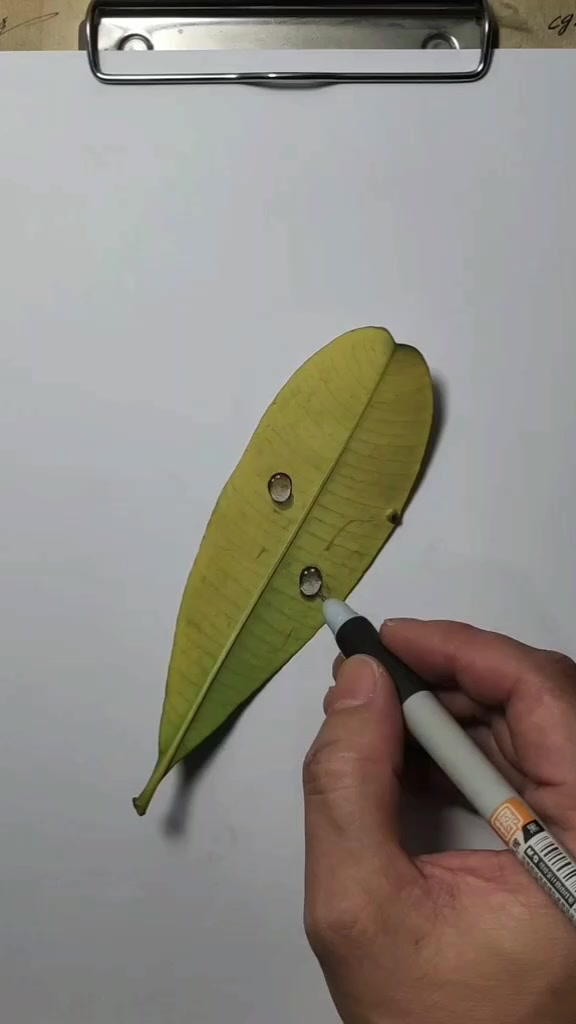 @cgr Hand drawn