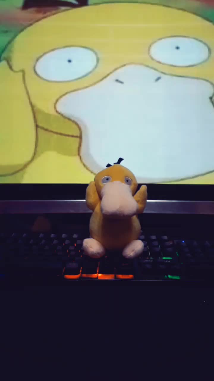 @피스peace피스peace