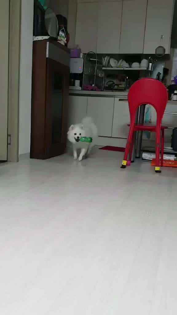 @mongooone