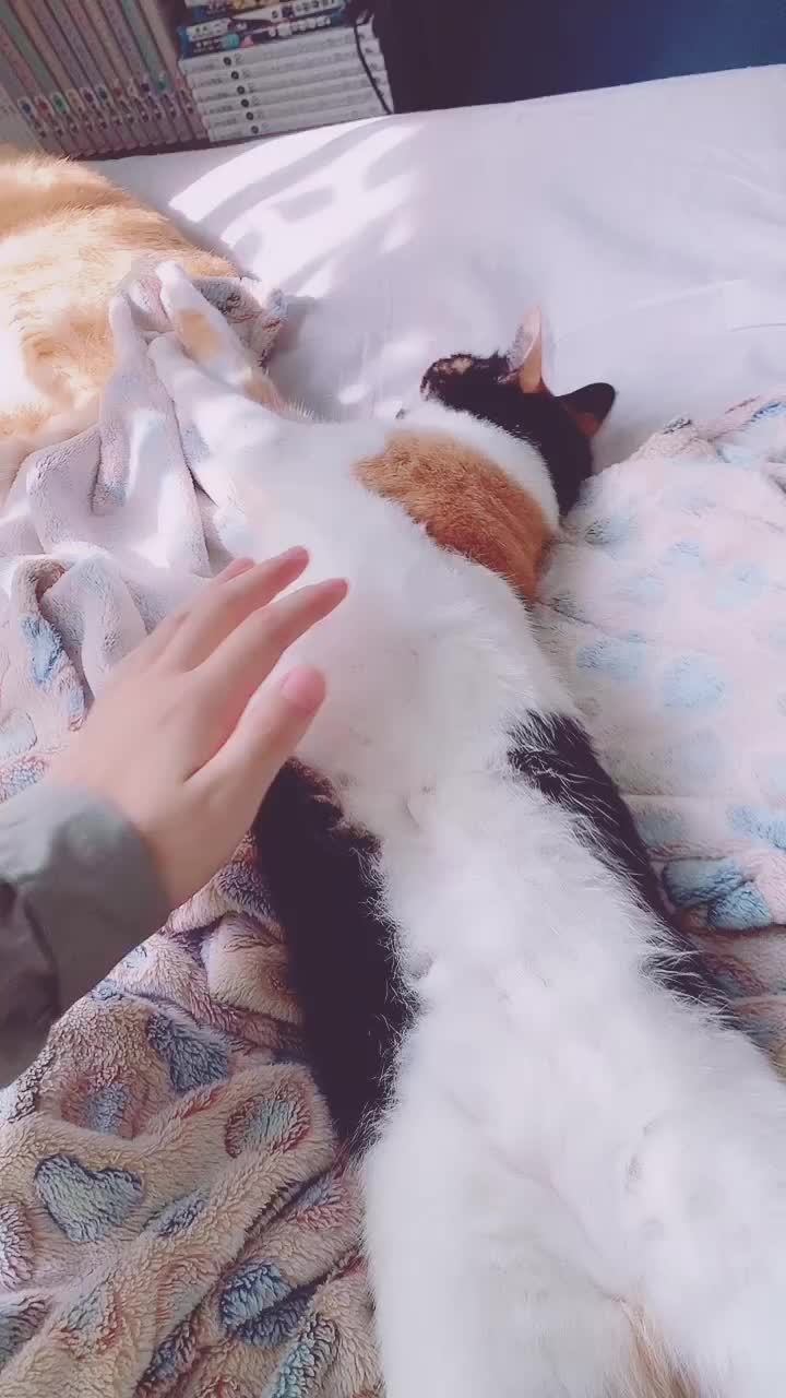 @ゆき