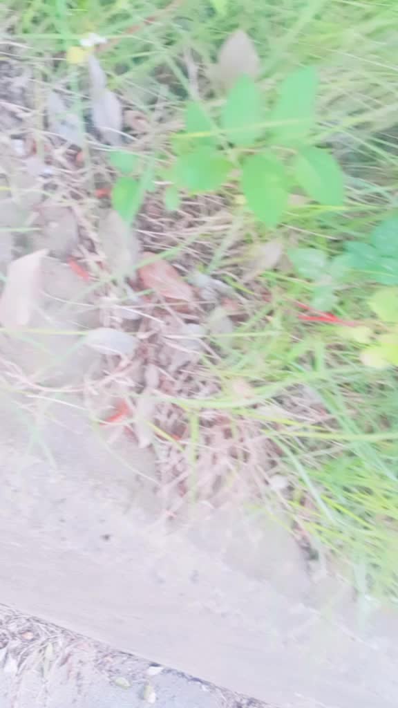 @ํ๋ฏผ๐ผ