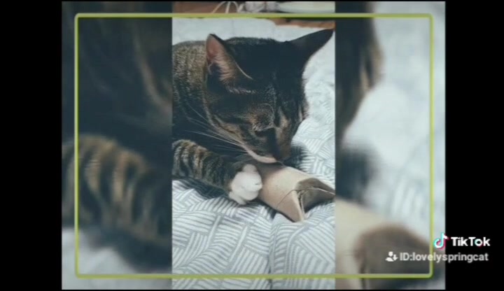 @뽀미와여울이