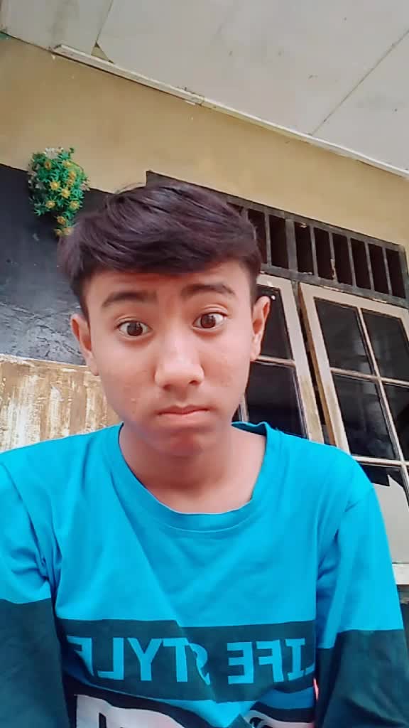 @dyan pane