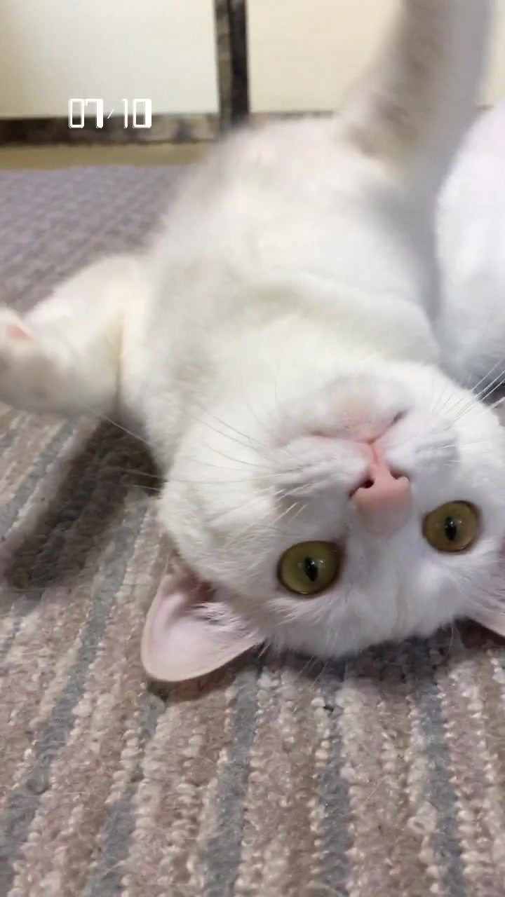 @ゼットン