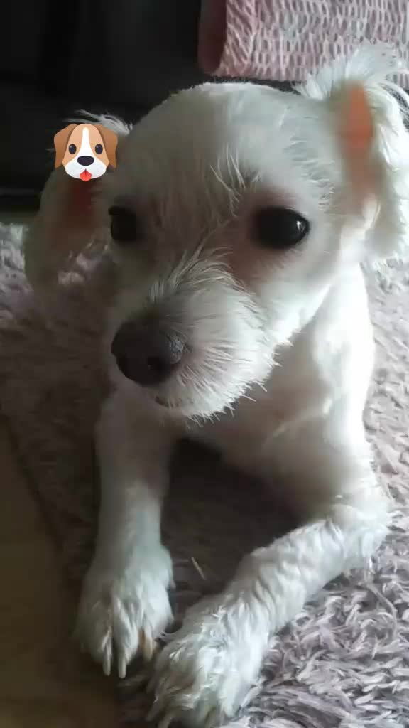 @나른한 계란💛