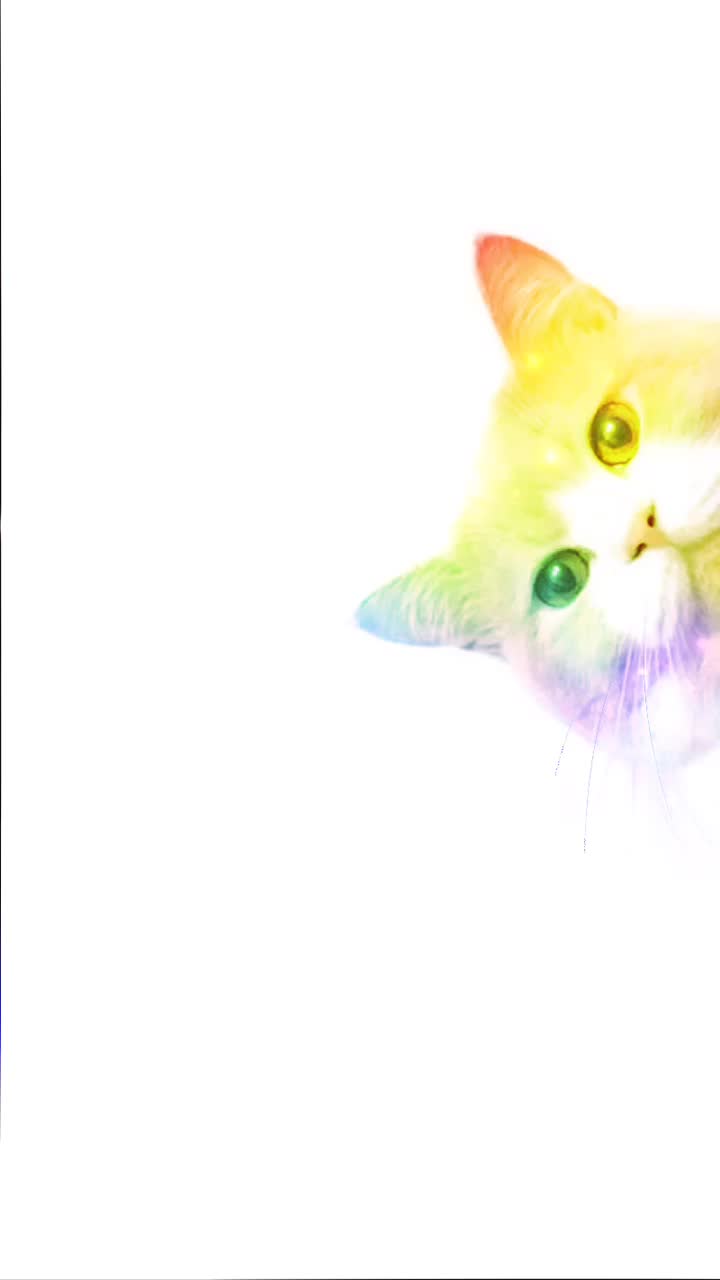@ちびねこ