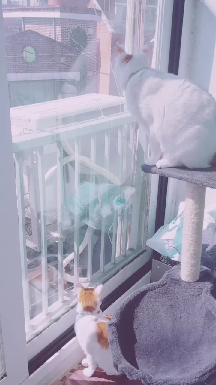 @이형균