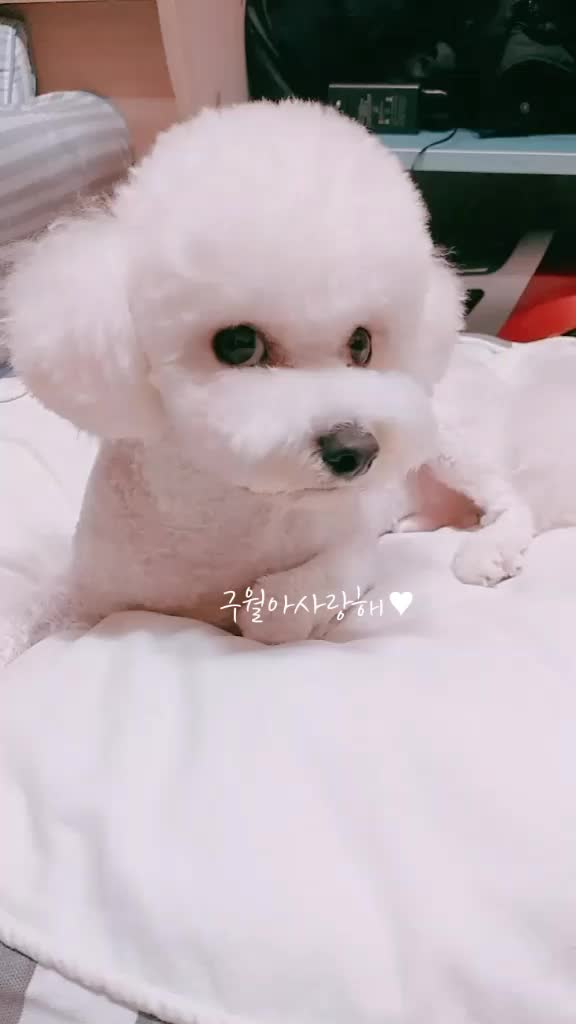 @구월아 사랑햄♡