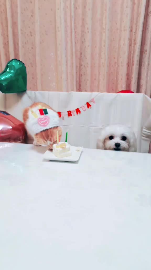 @fuuko.0324