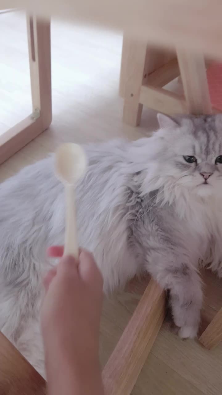 @ㅇㅅㅇ