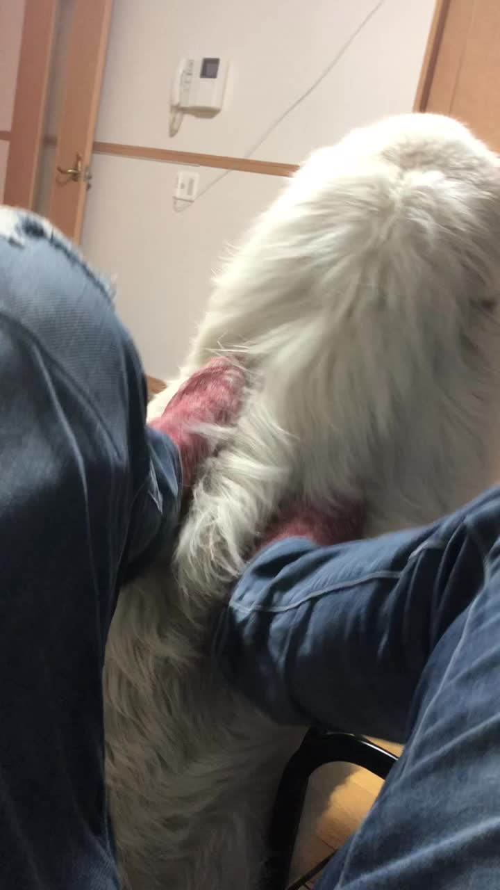 @じょじょ