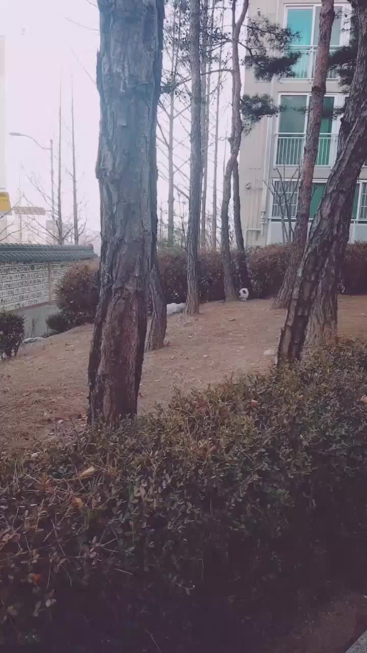 @🌟루피짱🌟