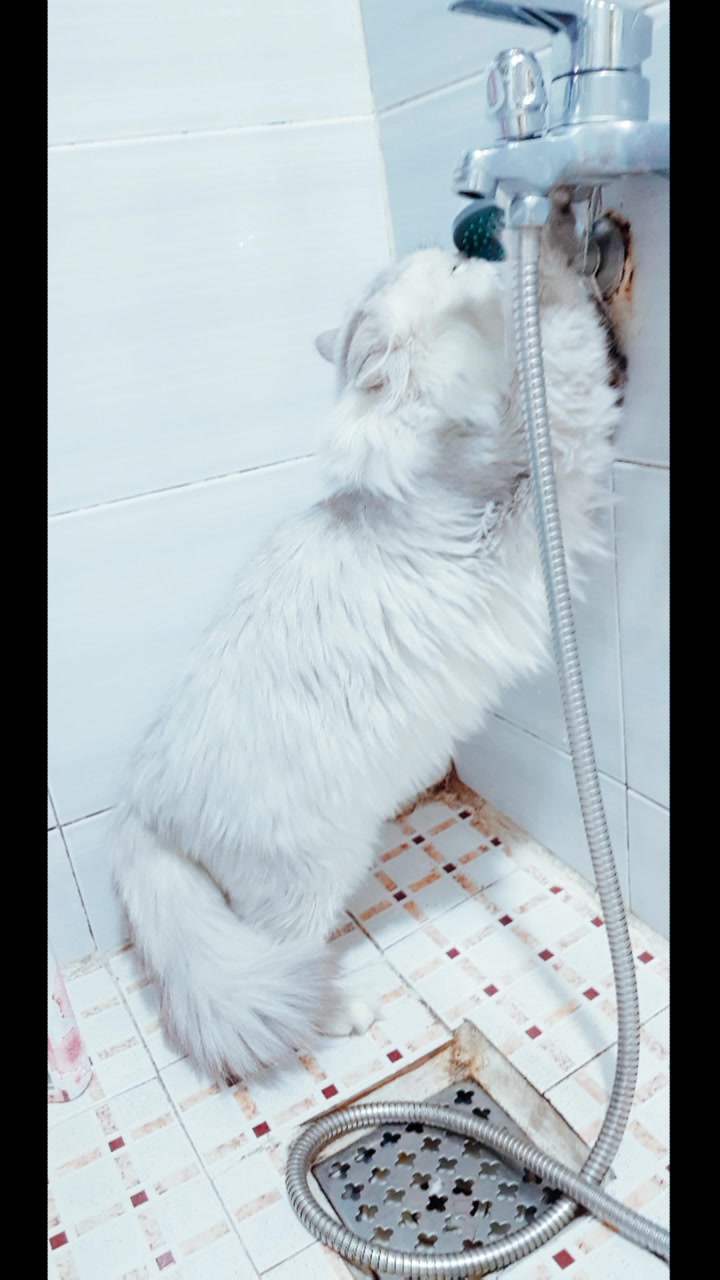 @ㅇㅅㅇ