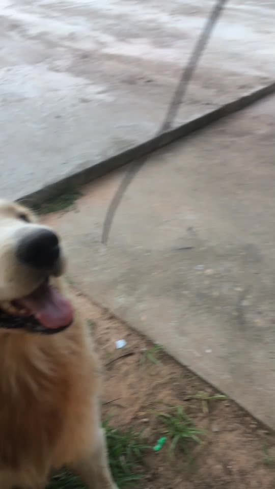 @Bom pongsakorn