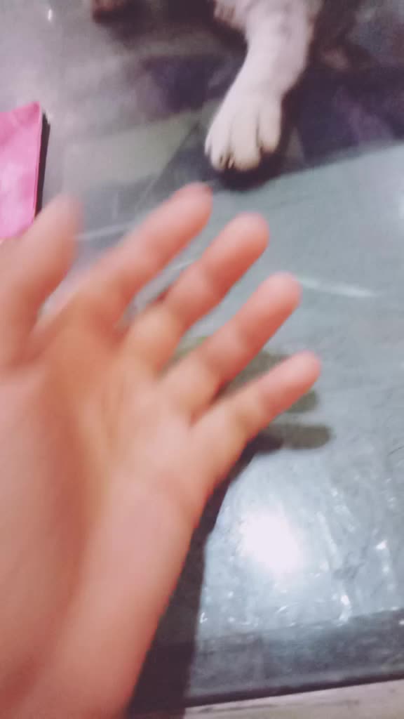 @มูซีร่า