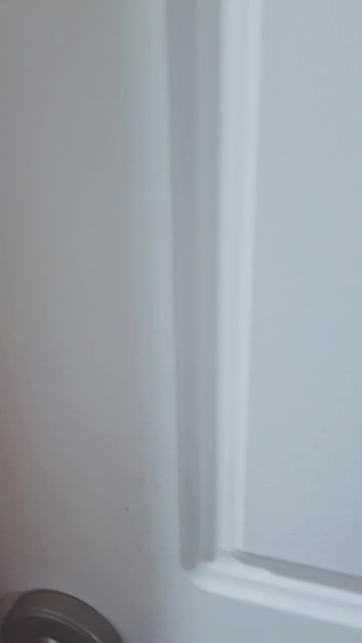 @리바이 아커만