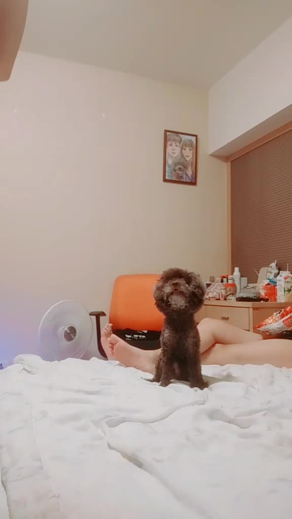 @Angelababy 943