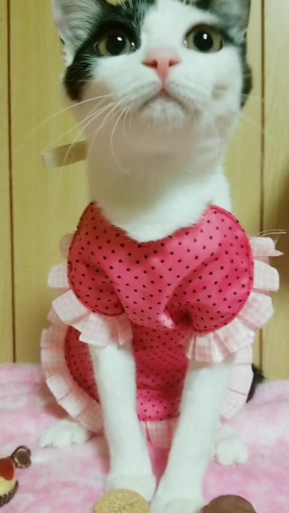 @yukako
