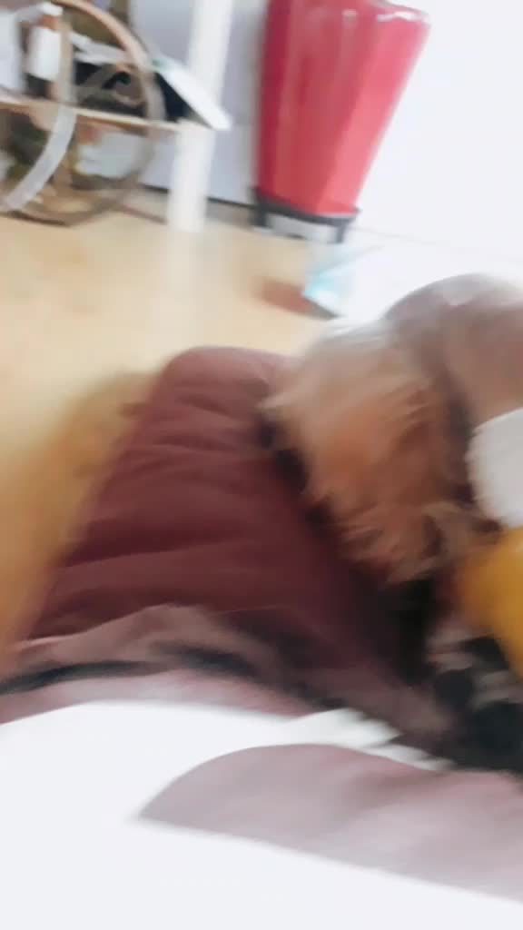@좀비고 예링찌
