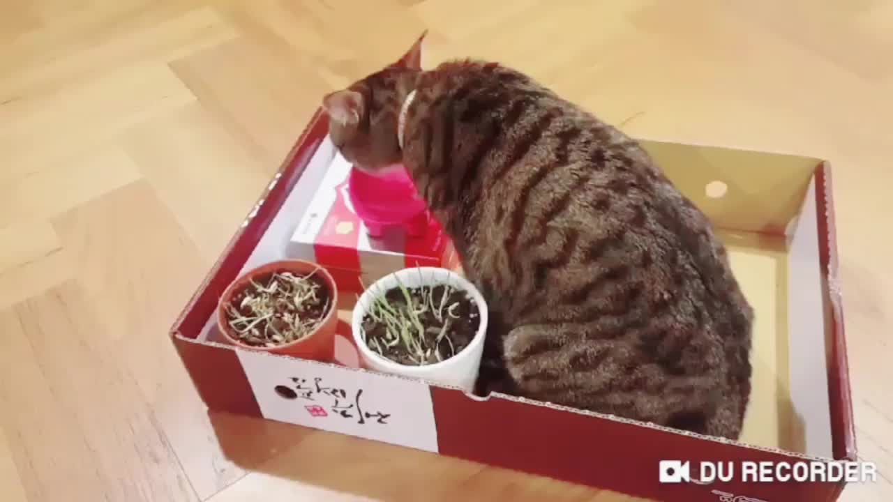 @만수루