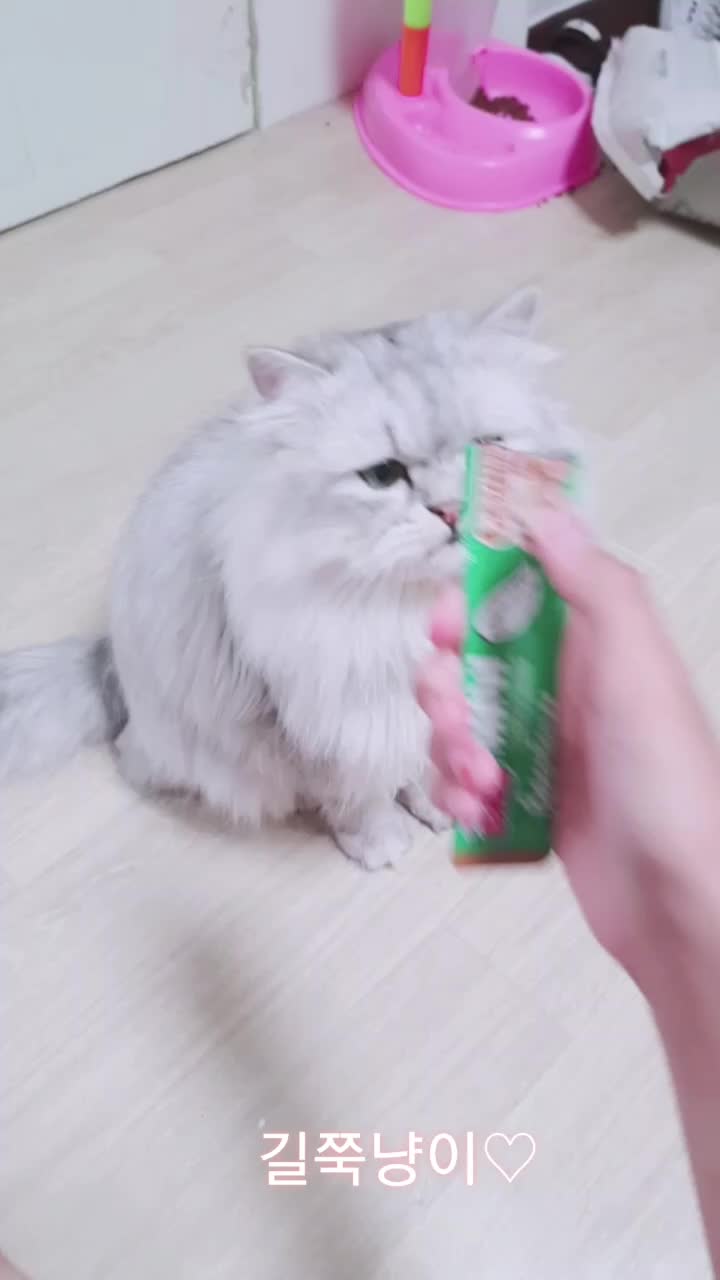 @ㅇㅅㅇ