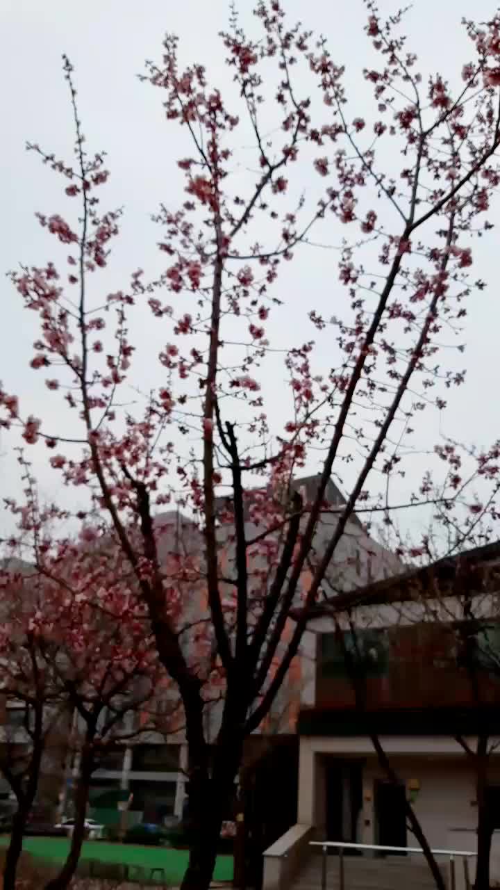 @쌤쌤TV