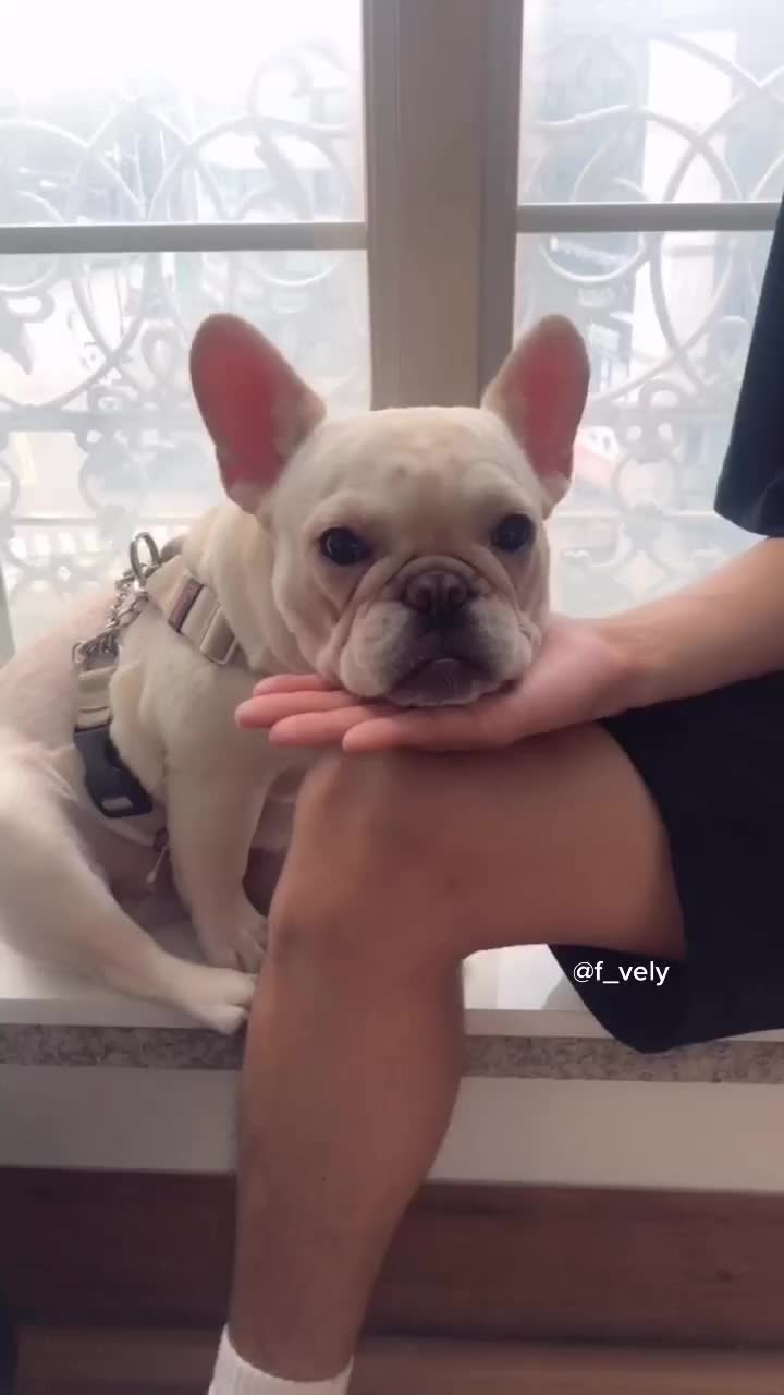 @프블리