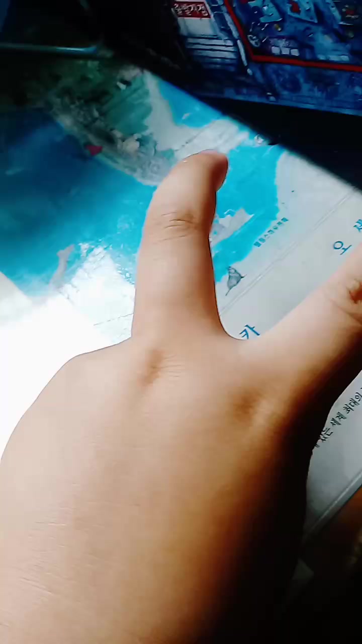 @홍장미