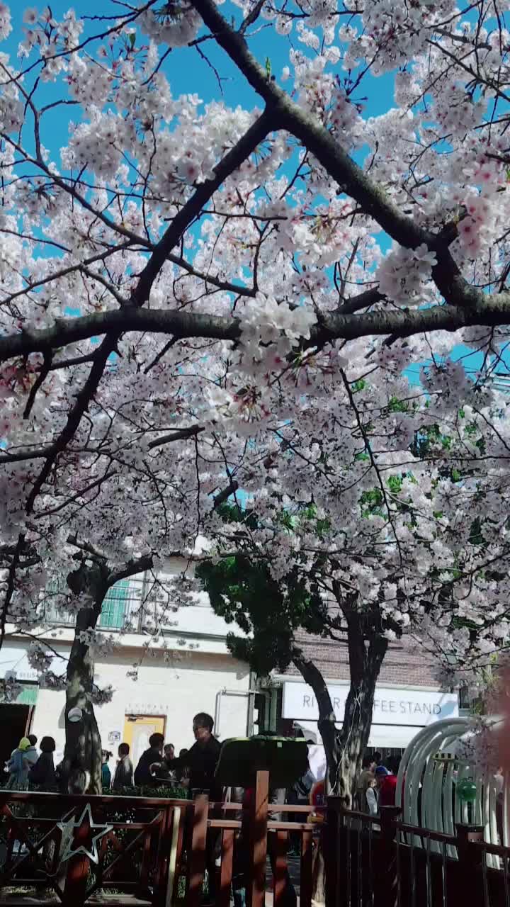 @《도은씌♡》