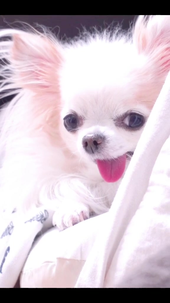 @๐์ธ์ธ์ฝ์ฝ_YouTube๐