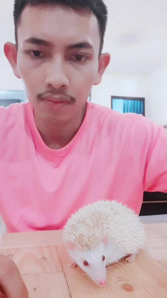 @damien_sajalah