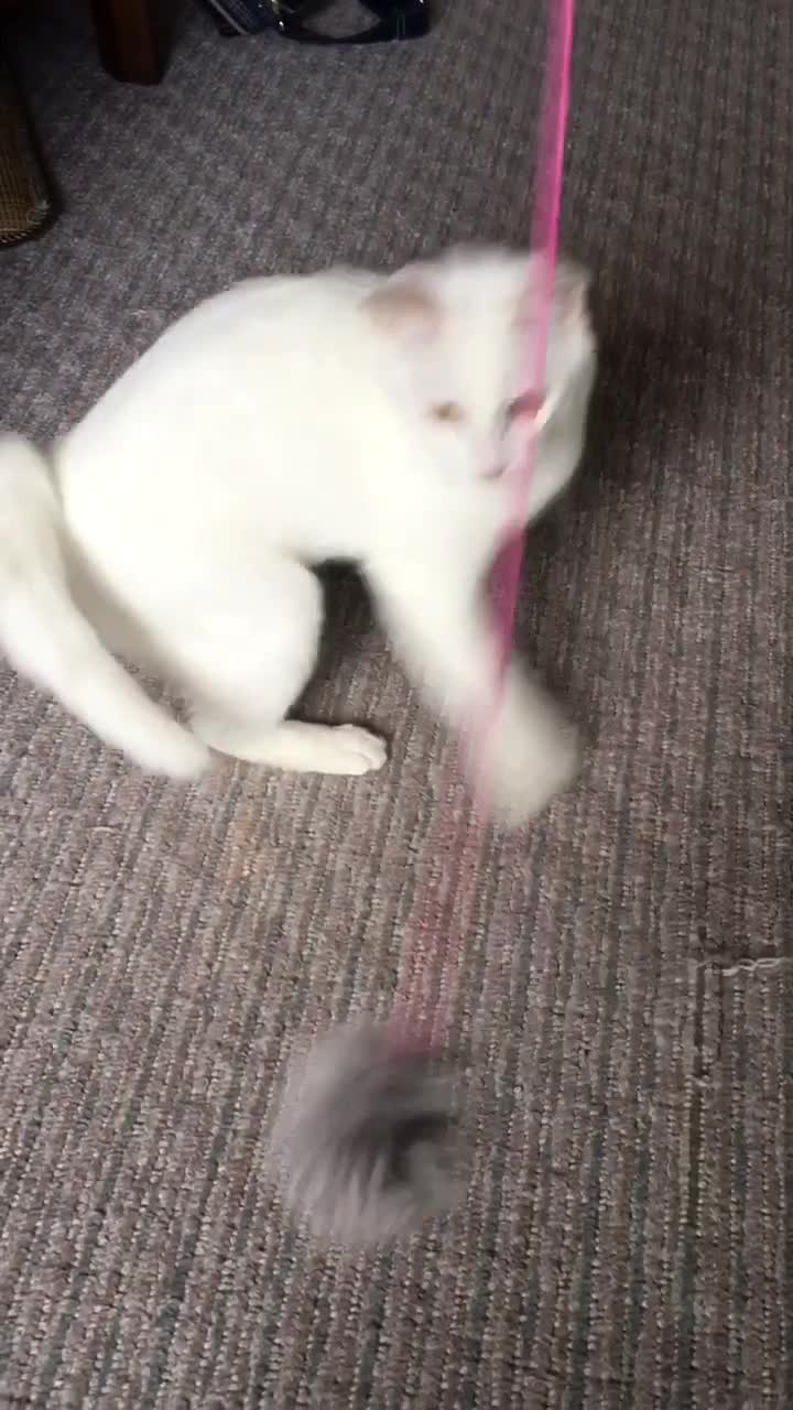 @ゼットン