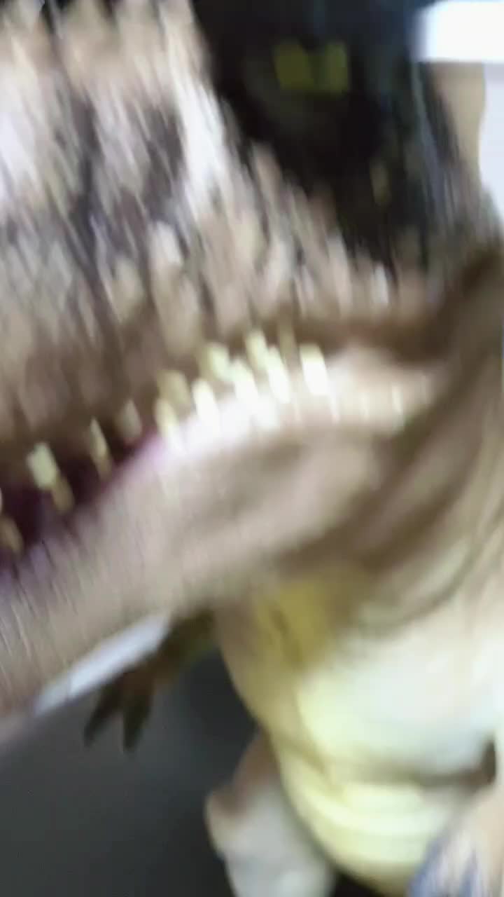 @민준 초이's 틱똑!!
