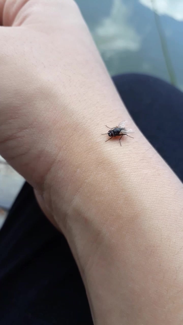 @행복한뚜벅
