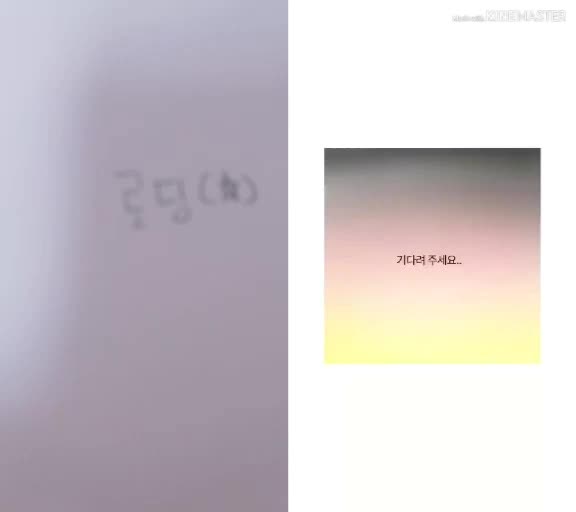 @스나인트[본계]벛꽃 긂쟁이